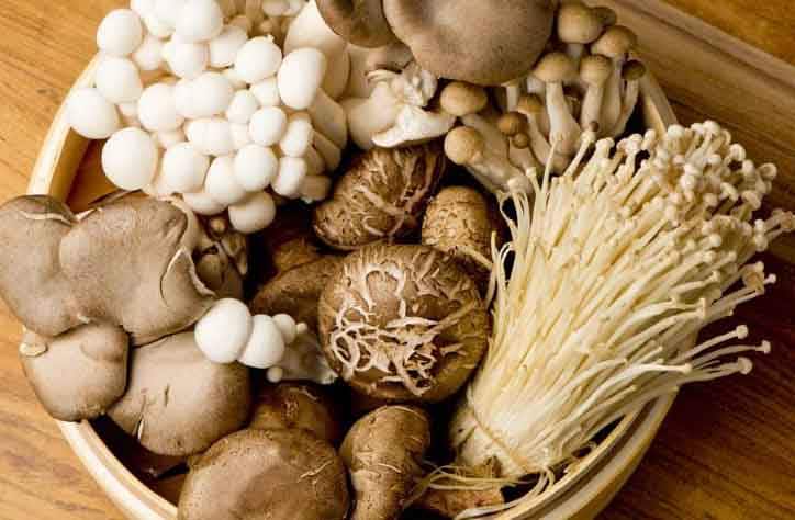 انواع قارچ خوراکی